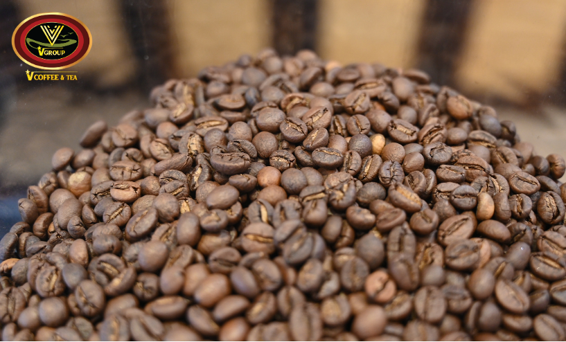 Hạt cà phê Robusta - Chất lượng đồng đều 
