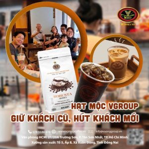 hạt mộc vgroup